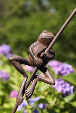 Billede af Frø på dunhammer